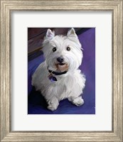 Framed West Highland Terrier