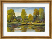 Framed Monet's Water Lily Pond II