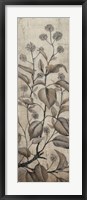 Branch & Blossoms II Framed Print