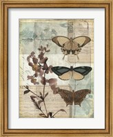 Framed Music Box Butterflies II