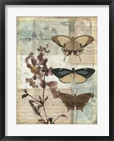 Music Box Butterflies II Framed Print