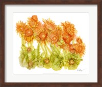 Framed Sunlit Poppies I