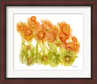 Framed Sunlit Poppies I