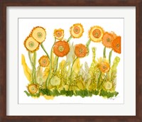 Framed Sunlit Poppies II