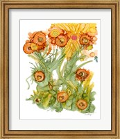 Framed Sunlit Poppies III