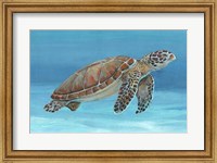 Framed Ocean Sea Turtle I