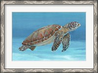 Framed Ocean Sea Turtle I