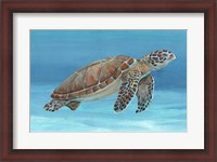 Framed Ocean Sea Turtle I