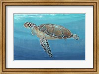 Framed Ocean Sea Turtle II