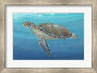 Framed Ocean Sea Turtle II