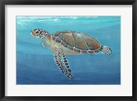 Ocean Sea Turtle II Framed Print