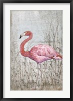 American Flamingo II Framed Print