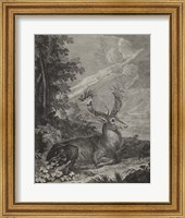 Framed Woodland Deer III