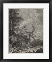 Framed Woodland Deer III