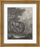 Framed Woodland Deer IV