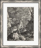 Framed Woodland Deer VII