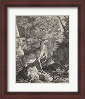 Framed Woodland Deer VII