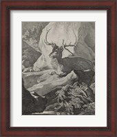 Framed Woodland Deer VIII