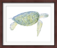 Framed Tranquil Sea Turtle I