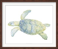 Framed Tranquil Sea Turtle II