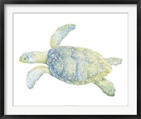 Framed Tranquil Sea Turtle II