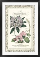 The Botanic Garden II Framed Print