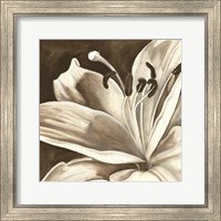 Framed Sepia Lily I