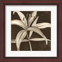 Framed Sepia Lily II
