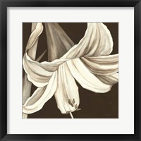 Framed Sepia Lily III