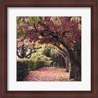 Framed Arch of Trees