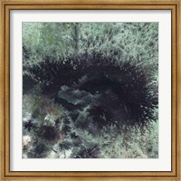 Framed Coral & Jelly Fish I