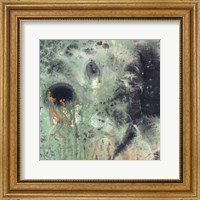 Framed Coral & Jelly Fish II
