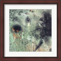 Framed Coral & Jelly Fish II