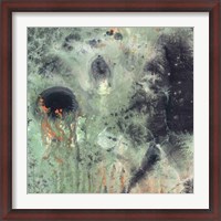 Framed Coral & Jelly Fish II