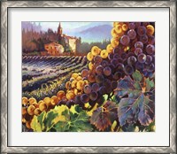 Framed Tuscany Harvest