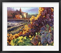 Tuscany Harvest Framed Print