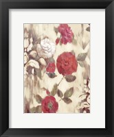 Framed Ikat Rose II