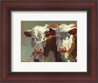 Framed Cow Belles