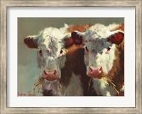 Framed Cow Belles