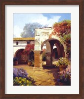 Framed Capistrano