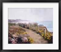 Framed Wildflowers