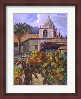 Framed Vineyard at San Miguel