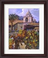 Framed Vineyard at San Miguel