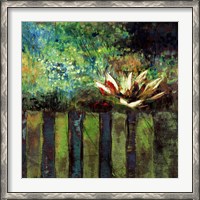 Framed Impressionist Lily I