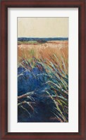 Framed Pastel Wetlands II