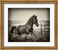 Framed Running Horse