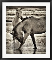 Framed Beach Horses I