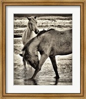 Framed Beach Horses I