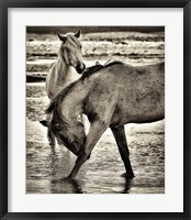 Framed Beach Horses I
