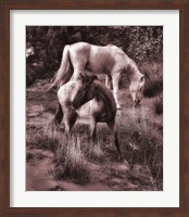 Framed Beach Horses II